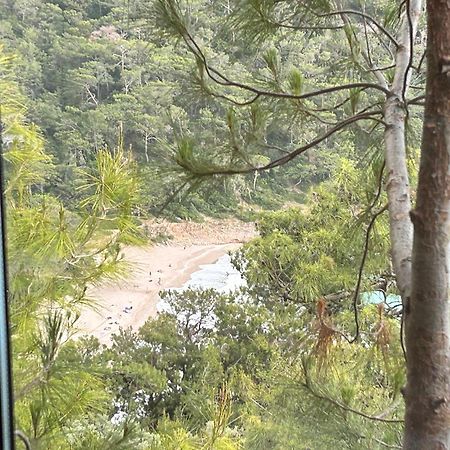 Kabak Uetopya Kamp Faralya Εξωτερικό φωτογραφία