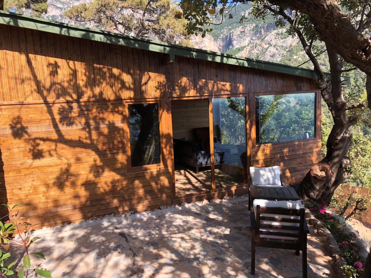 Kabak Uetopya Kamp Faralya Εξωτερικό φωτογραφία