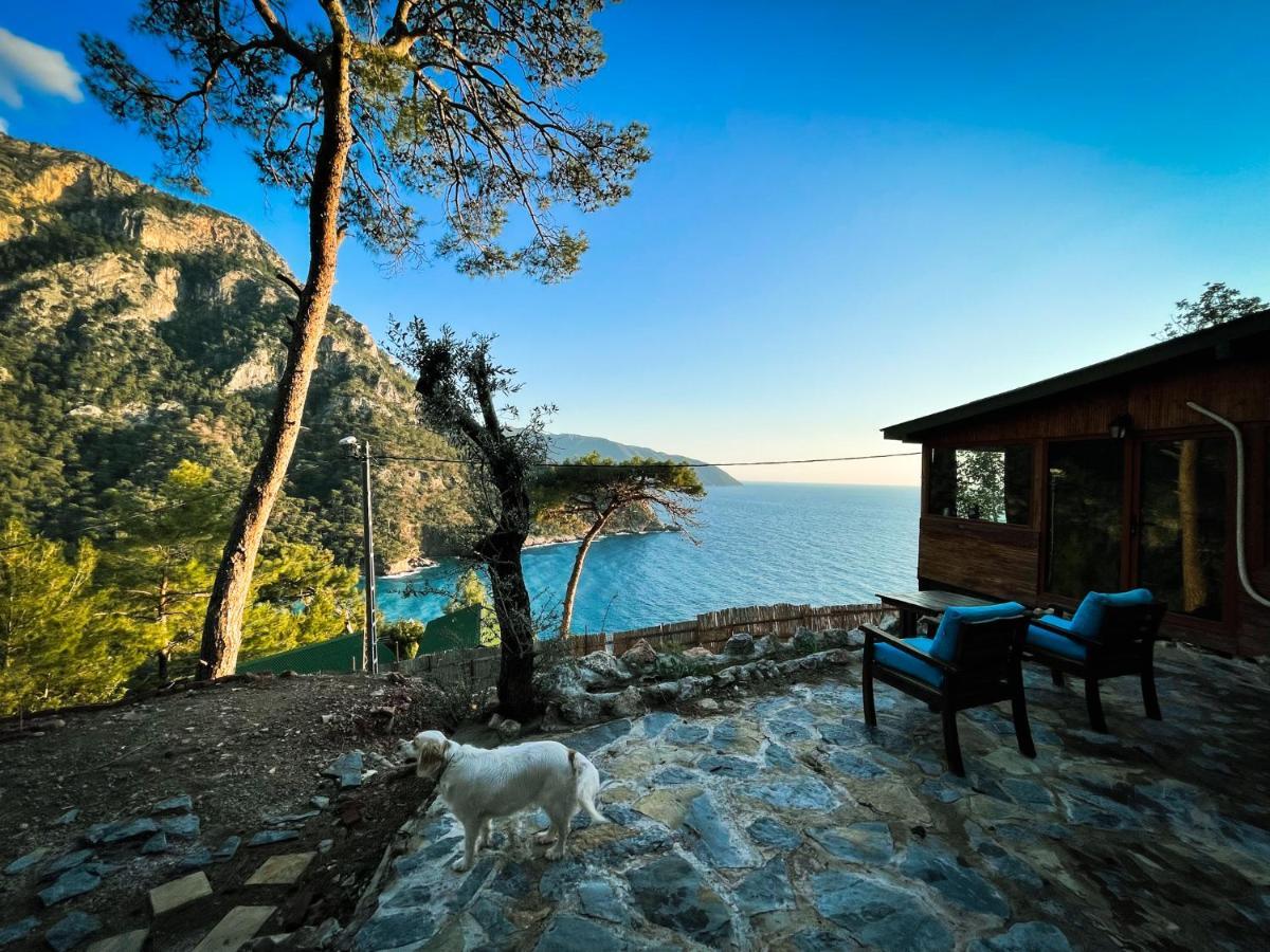 Kabak Uetopya Kamp Faralya Εξωτερικό φωτογραφία