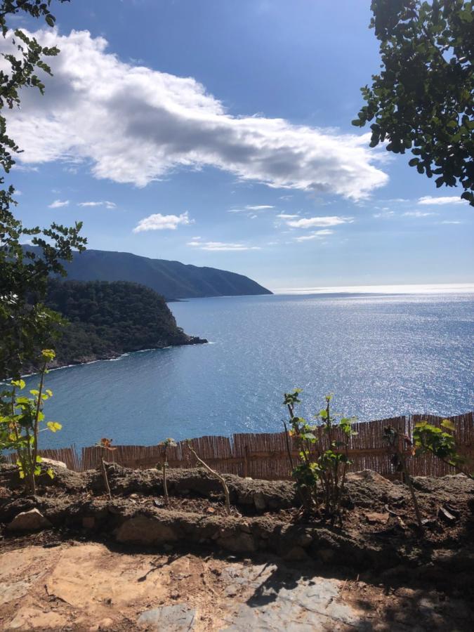 Kabak Uetopya Kamp Faralya Εξωτερικό φωτογραφία